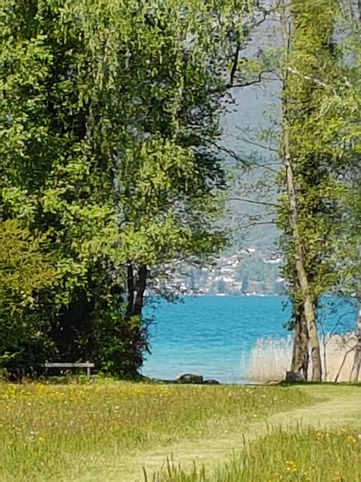 Bathing Le Solitaire Du Lac - Saint Jorioz