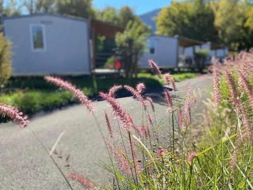 Huuraccommodatie(s) - Cottage Montana - 32 M² - 2 Slaapkamers - image n°8 - Camping Europa