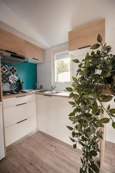 Mietunterkunft - Cottage Classic - 26 M² - 2 Zimmer - image n°6 - Camping Europa