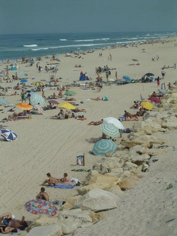 Camping Les Fougères Lacanau - image n°21 - UniversalBooking