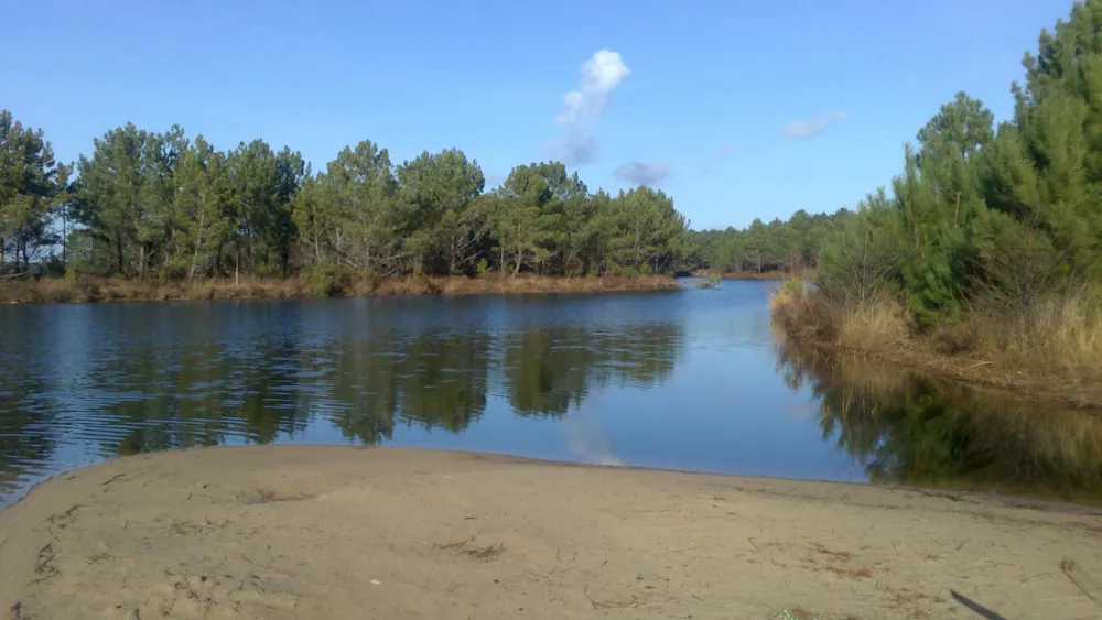 Camping Les Fougères Lacanau - image n°13 - UniversalBooking