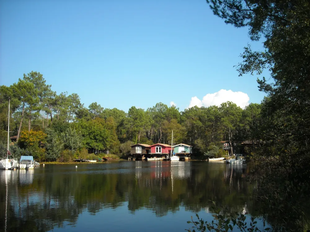 Camping Les Fougères Lacanau - image n°11 - UniversalBooking