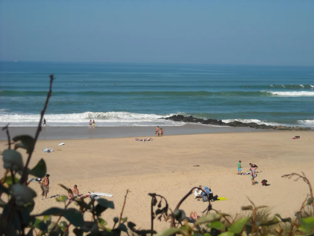 Camping Les Fougères Lacanau - image n°15 - UniversalBooking