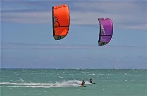 Camping Les Fougères Lacanau - image n°31 - UniversalBooking