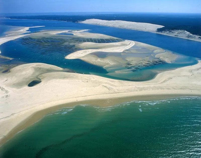 Camping Les Fougères Lacanau - image n°39 - UniversalBooking