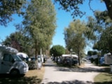 Foto #2 van Camping Kerabus