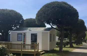 Mietunterkunft - Mobilheim 20M² - 1 Schlafzimmer - Terrasse - Tv - - Camping Kérabus