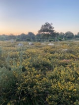 Foto #54 van Camping Kérabus