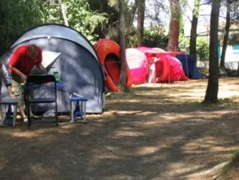 Stellplatz - Schattiger Stellplatz - Camping Neptune