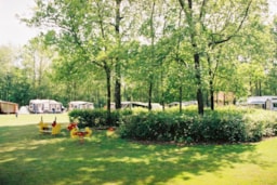 Établissement Charme Camping Heidepark - Lemelerveld