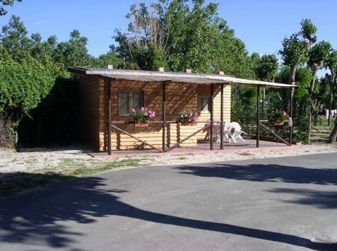 Camping Maximum - Emilia-Romagna - Image n°1 Camping Maximum - Emilia-Romagna - Image n°1