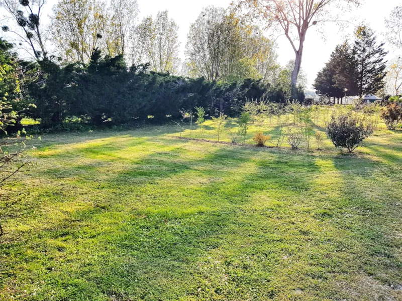 Emplacement + Tente/Caravane/Voiture/Camping-Car Avec Electricite