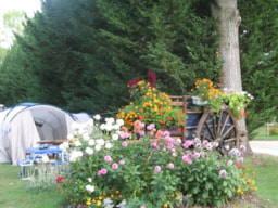 Parcela - Emplacement Sans Électricité - Camping Couleurs du Monde