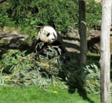 Foto #51 van Camping Couleurs du Monde