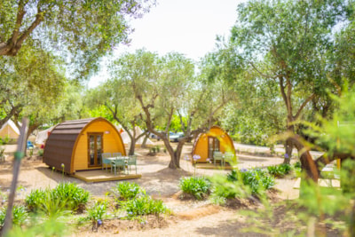 Bungalow Pod — 2