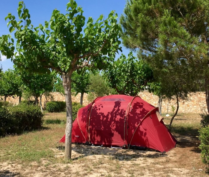 Emplacement Confort Tente Ou Caravane