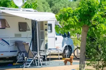 Pitch - Pitch Premium Plus - Camping Cambrils Caban