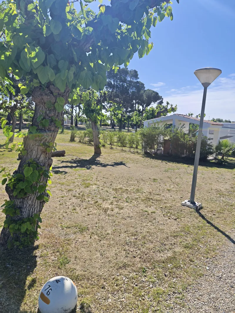 Emplacement  Premium Tente Ou Caravane