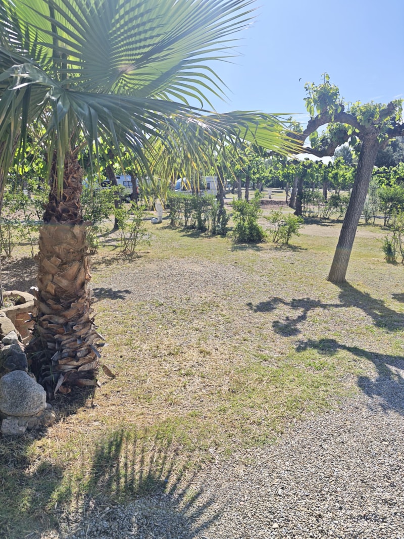 Emplacement Superieur Tente ou Caravane