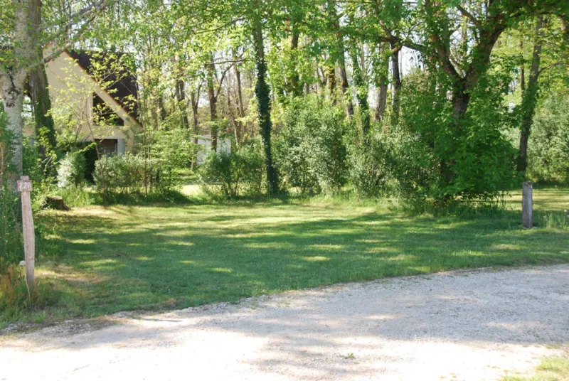Forfait Confort Avec Électricité (1 Tente, Caravane Ou Camping-Car / 1 Voiture / Électricité)