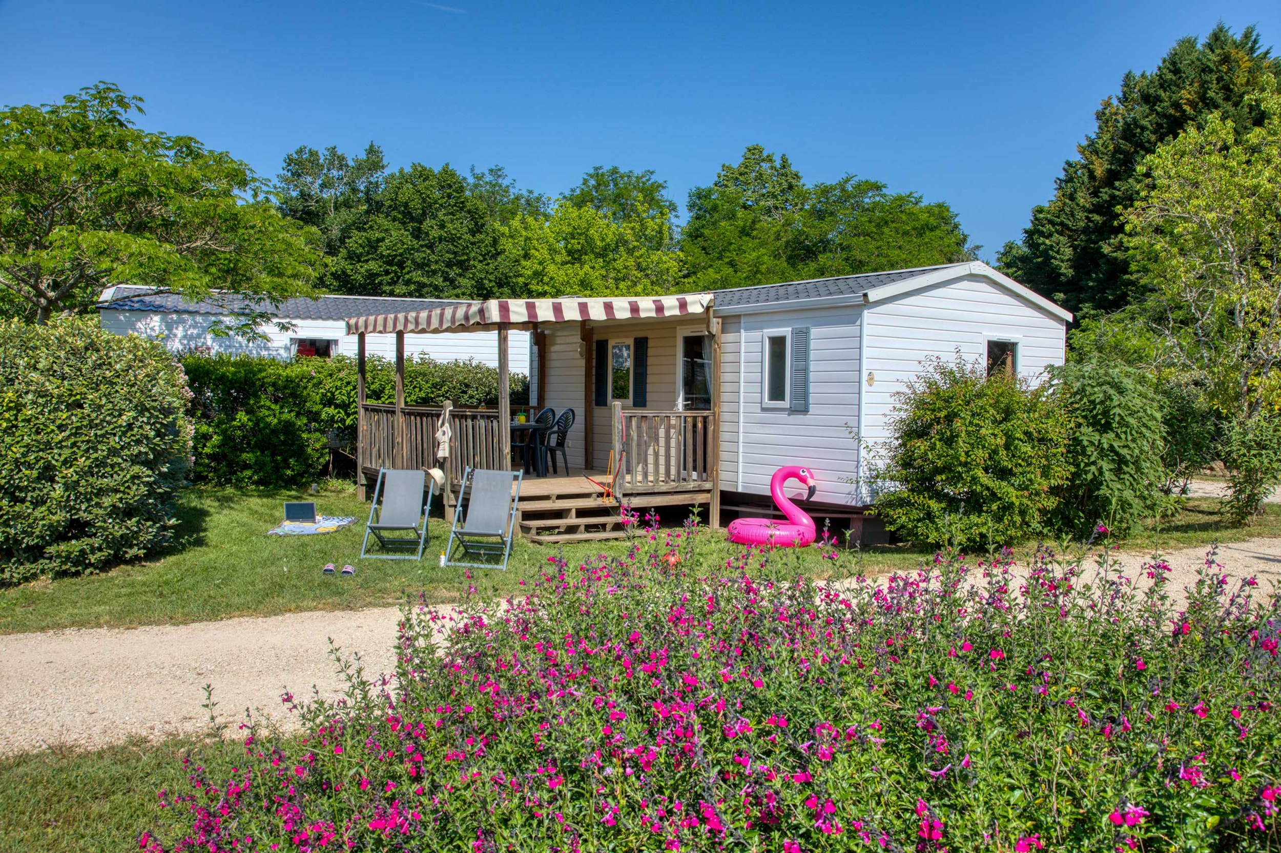 Flower Camping La Sagne — Photo 5