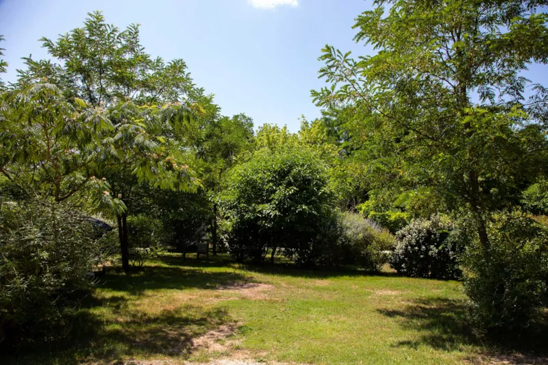 Forfait Confort Avec Électricité (1 Tente, Caravane Ou Camping-Car / 1 Voiture / Électricité)