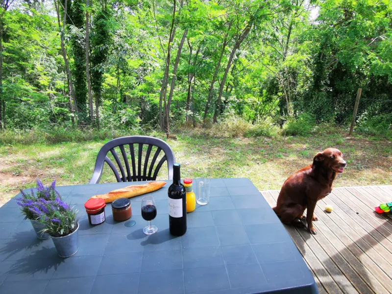 Mobil-Home Famille Plus  - 23M² - 2 Chambres + Banquette Convertible 2 Places