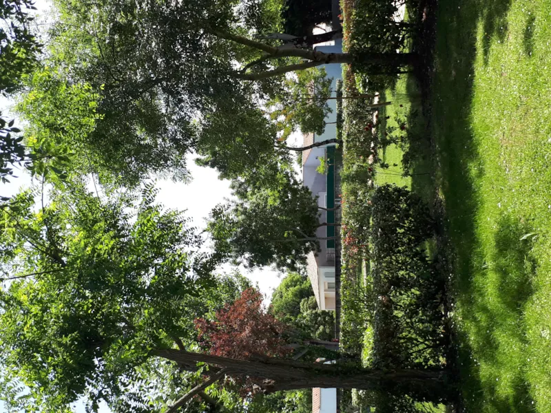 Forfait 2 Pers, Emplacement Avec Caravane/ Camping Car/ Ou Tente Et Véhicule, Électricité  Inclue