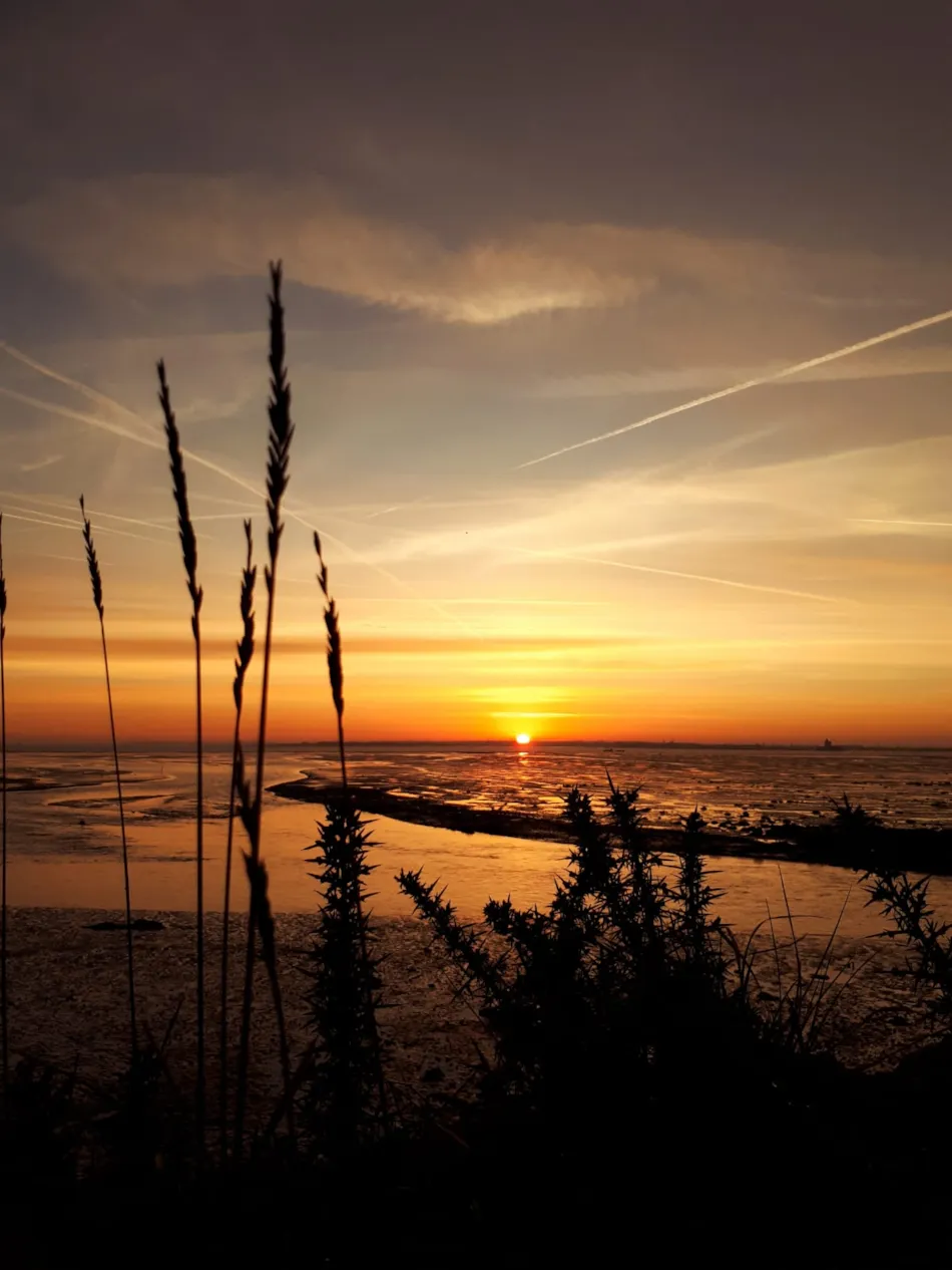 Camping Au Pigeonnier