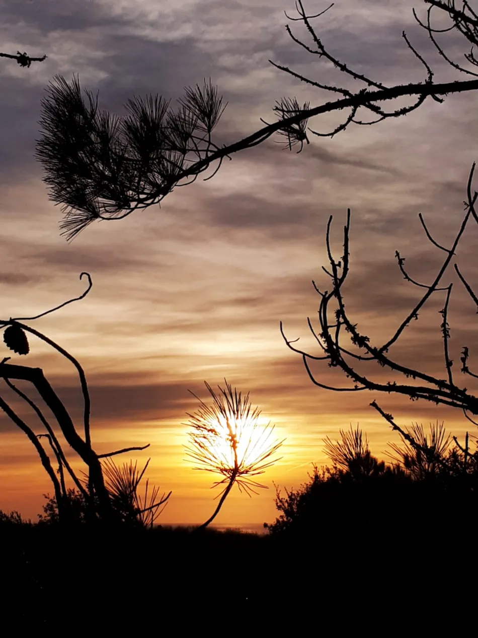 Camping Au Pigeonnier
