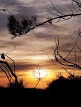 Foto #25 van Camping Au Pigeonnier