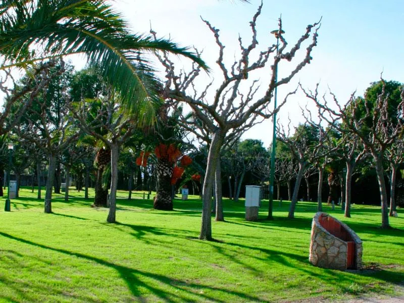 Emplacement Standard Classic Avec Électricité