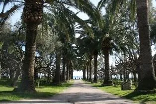 Emplacement Standard Deluxe Avec Électricité