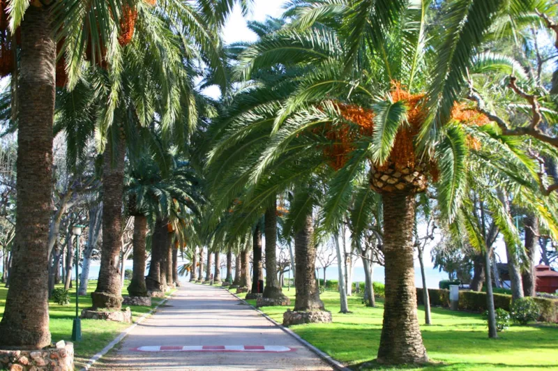 Emplacement Premium Classic Avec Électricité Et Eau