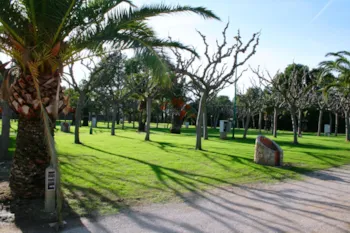 Stellplatz - Stellplatz Standard Classic Mit Strom - Playa Montroig Camping Resort