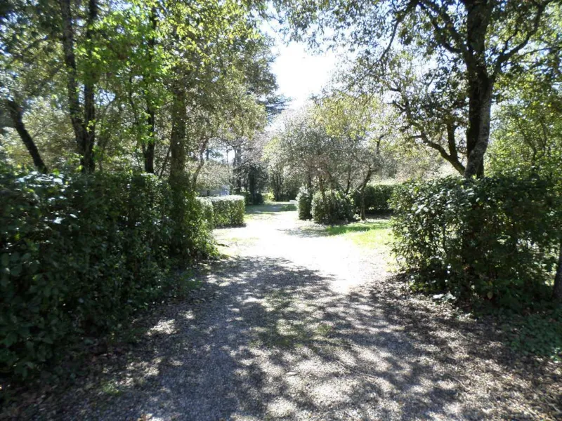 Forfait Confort Avec Électricité 6A Incluse : Emplacement, Tente Ou Caravane Ou Camping-Car, Voiture