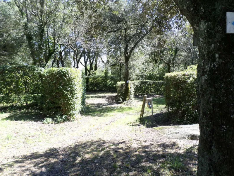 Forfait Confort Avec Électricité 6A Incluse : Emplacement, Tente Ou Caravane Ou Camping-Car, Voiture