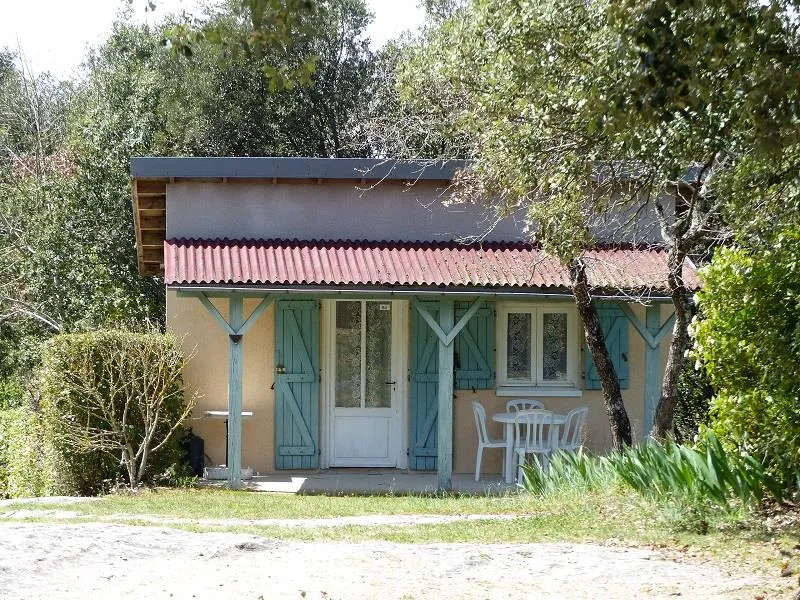 Maisonnette Standard 20M² 1 Chambre - Terrasse