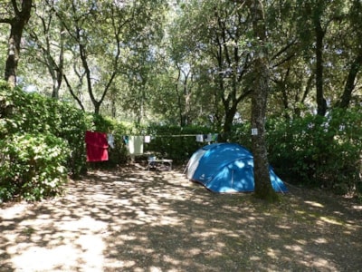 COMFORT Package with table and elect 6A : Pitch, car, tent or caravan or camping-car, electricity,