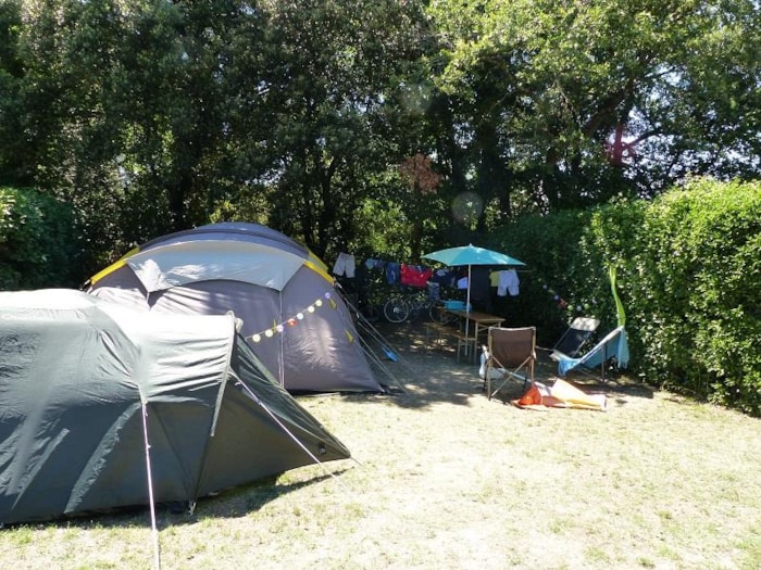 Forfait Nature (Sans Électricité): Emplacement, Tente Ou Caravane Ou Camping-Car, 1 Véhicule