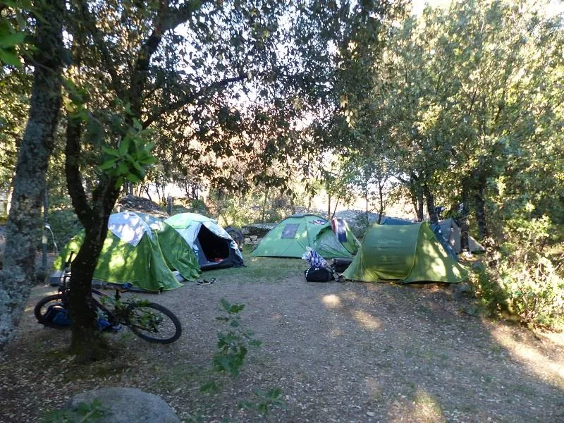 Forfait Nature (Sans Électricité): Emplacement, Tente Ou Caravane Ou Camping-Car, 1 Véhicule