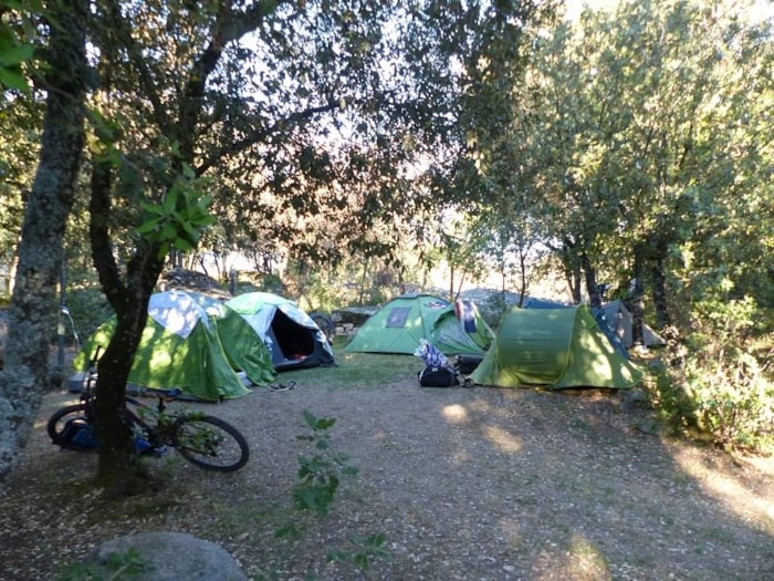 Forfait Nature (Sans Électricité): Emplacement, Tente Ou Caravane Ou Camping-Car, 1 Véhicule