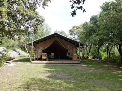 Lodge Safari Standard 25m² 2 bedrooms - terrace (without toilet blocks)