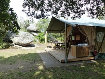 Lodge Safari Standard 25m² 2 bedrooms - terrace (without toilet blocks)