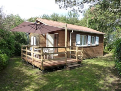 Chalet Confort -35m² -2 bedrooms - semi-covered terrace - TV - Air conditioning
