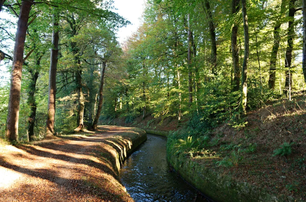 Flower Camping Le Martinet Rouge