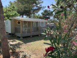 Accommodation - Mobile Home Baltique - Chadotel Le Trivoly