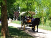 Camping Municipal de la Noë