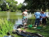 Camping Municipal de la Noë