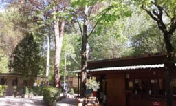 Campeggio Bosco Verde - image n°3 - Roulottes
